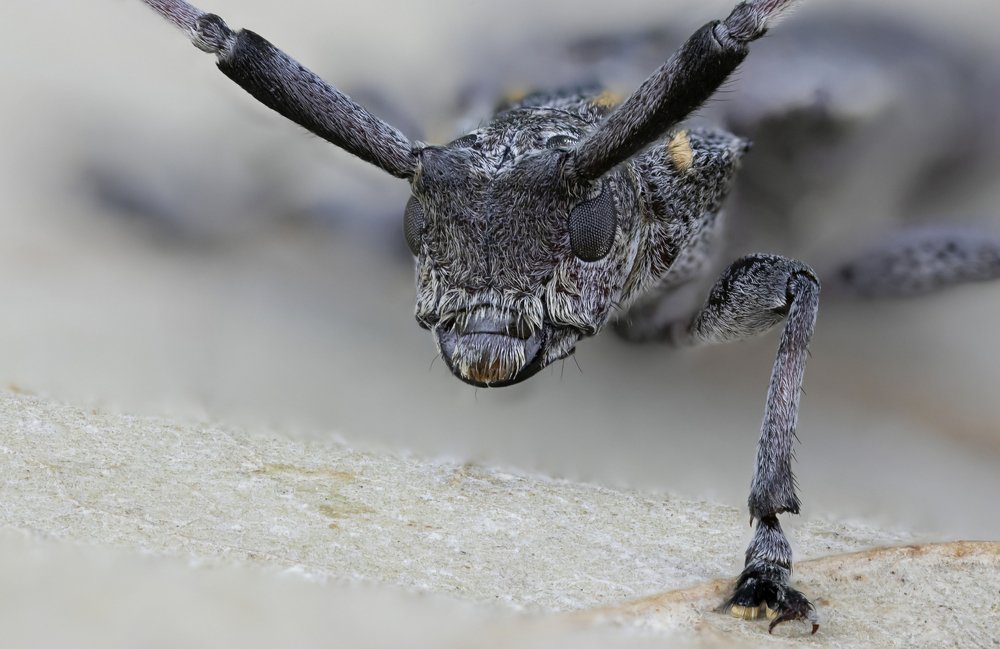 Photograph by Сергей Романченко