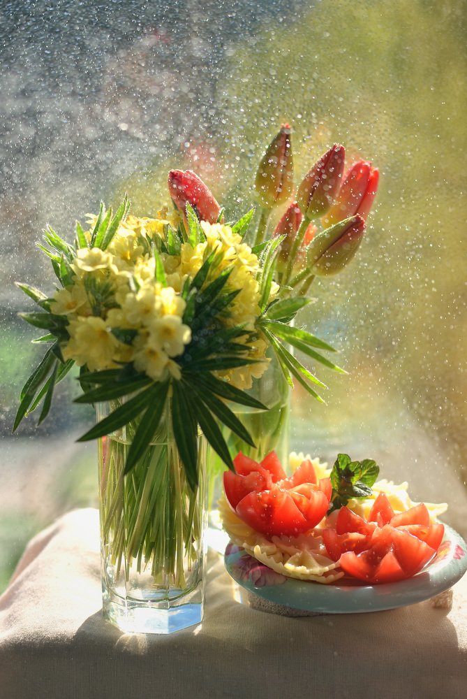 Фотография автора Юлия Широкова