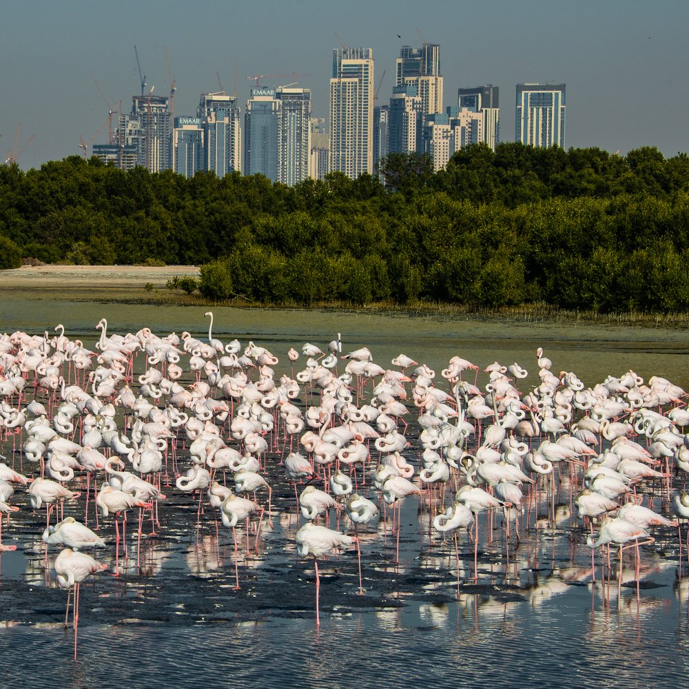 Photograph by Екатерина Ковшова