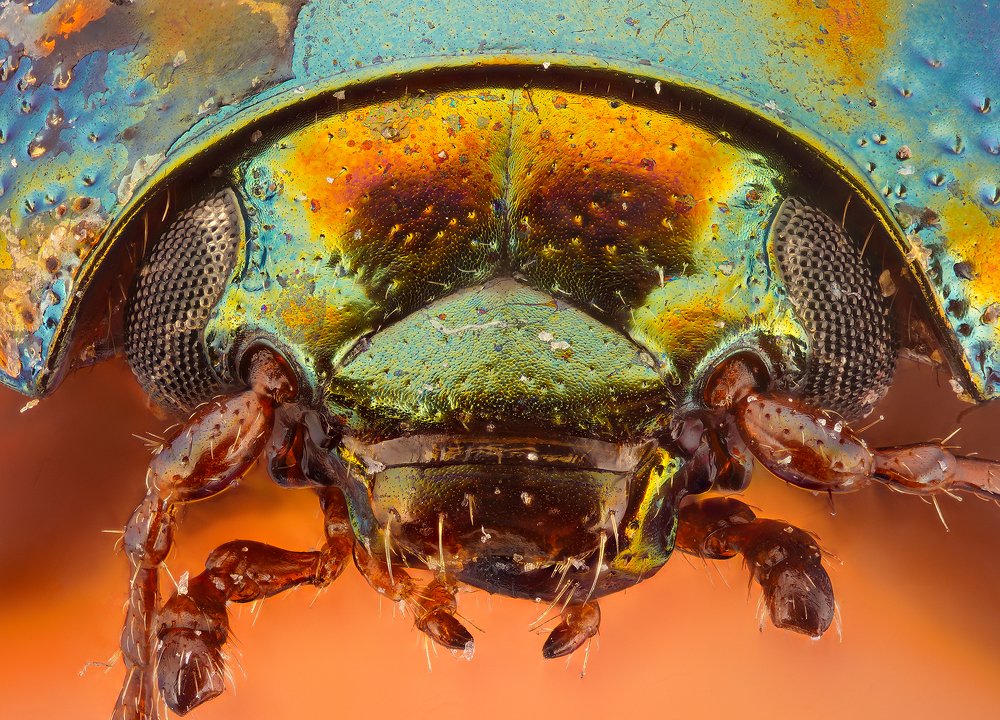 Photograph by Борис Фотомания