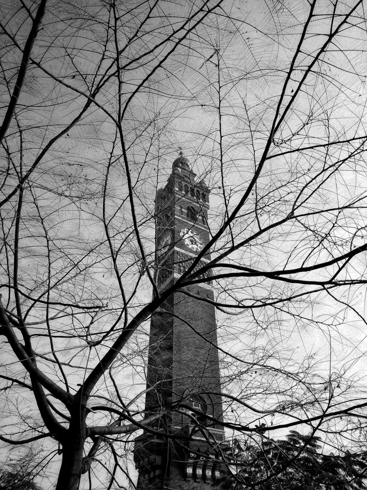 Photograph by Ali Zaidi