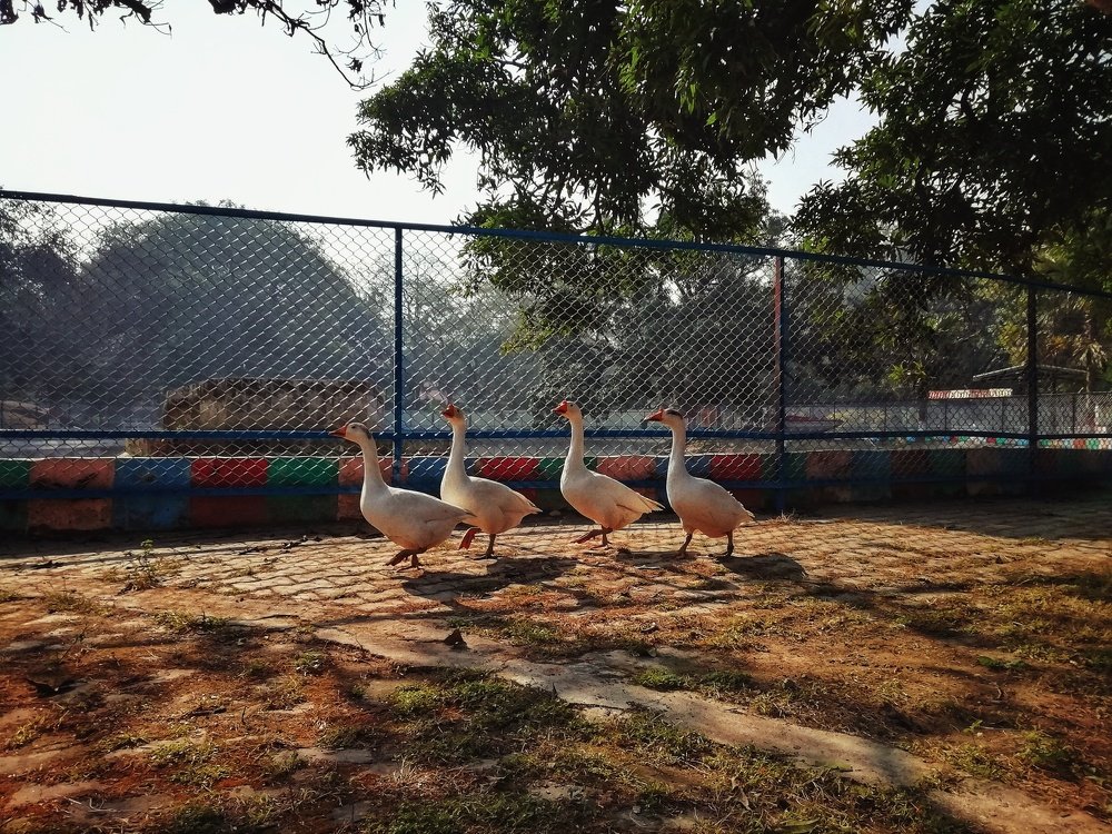 Photograph by Ali Zaidi