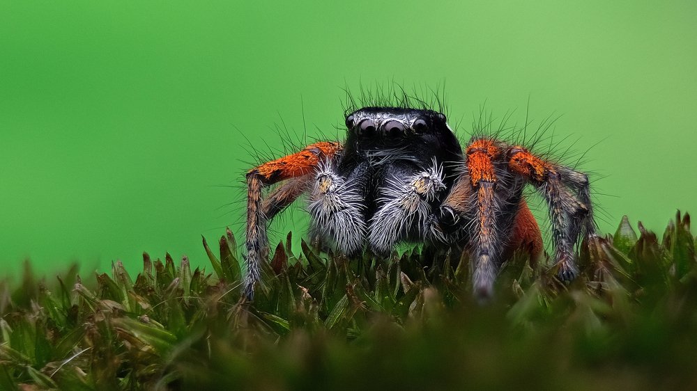 Photograph by Юрьевич Юрий