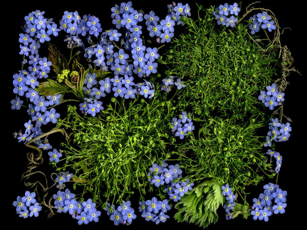 Photograph by  Peter Hennig