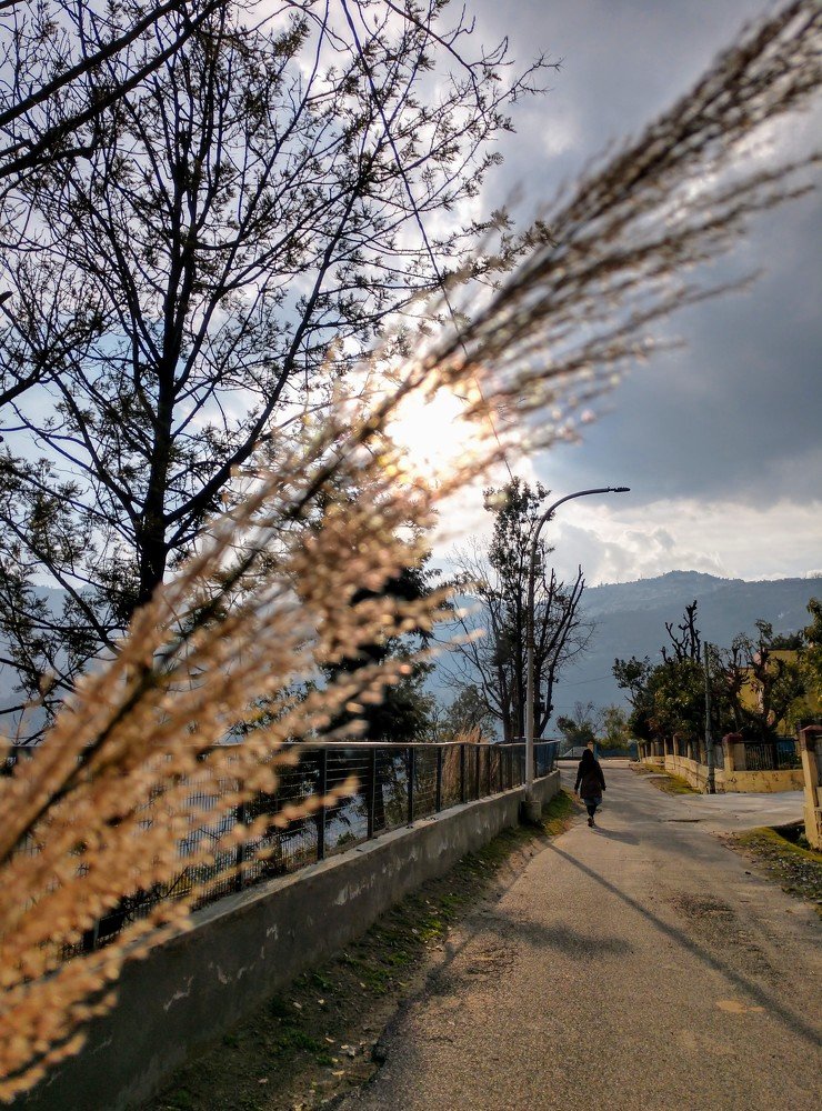 walk alone