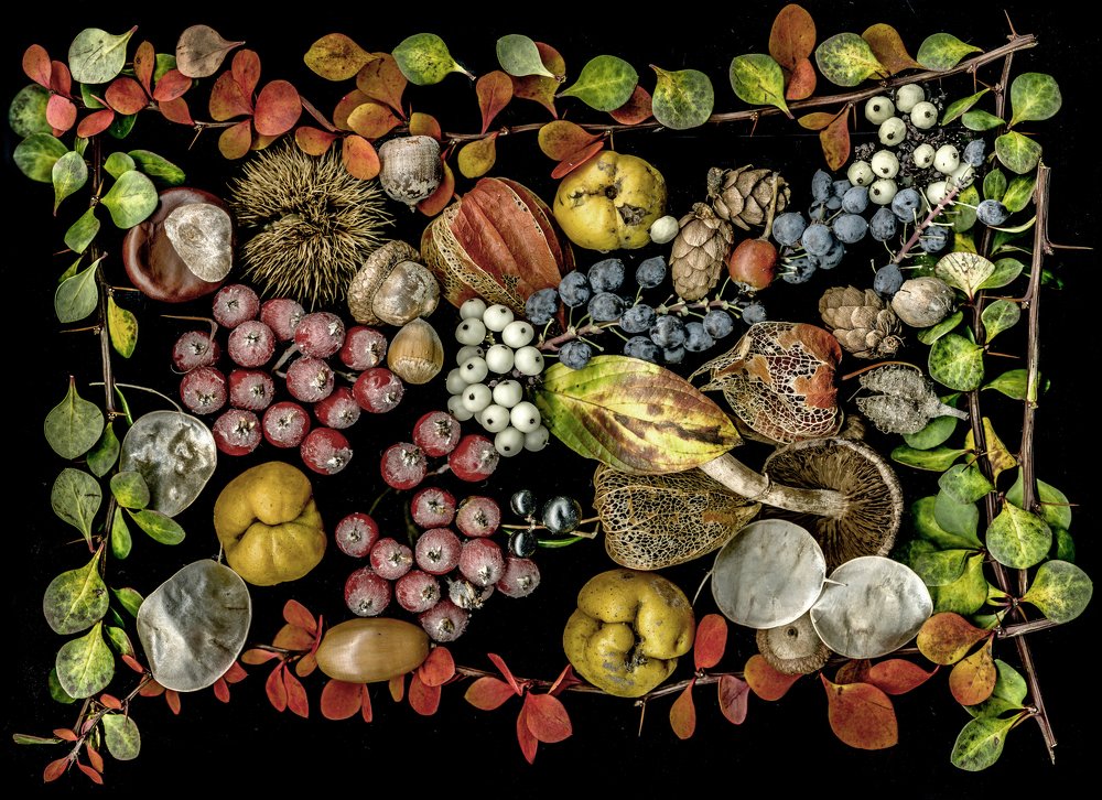 Photograph by  Peter Hennig