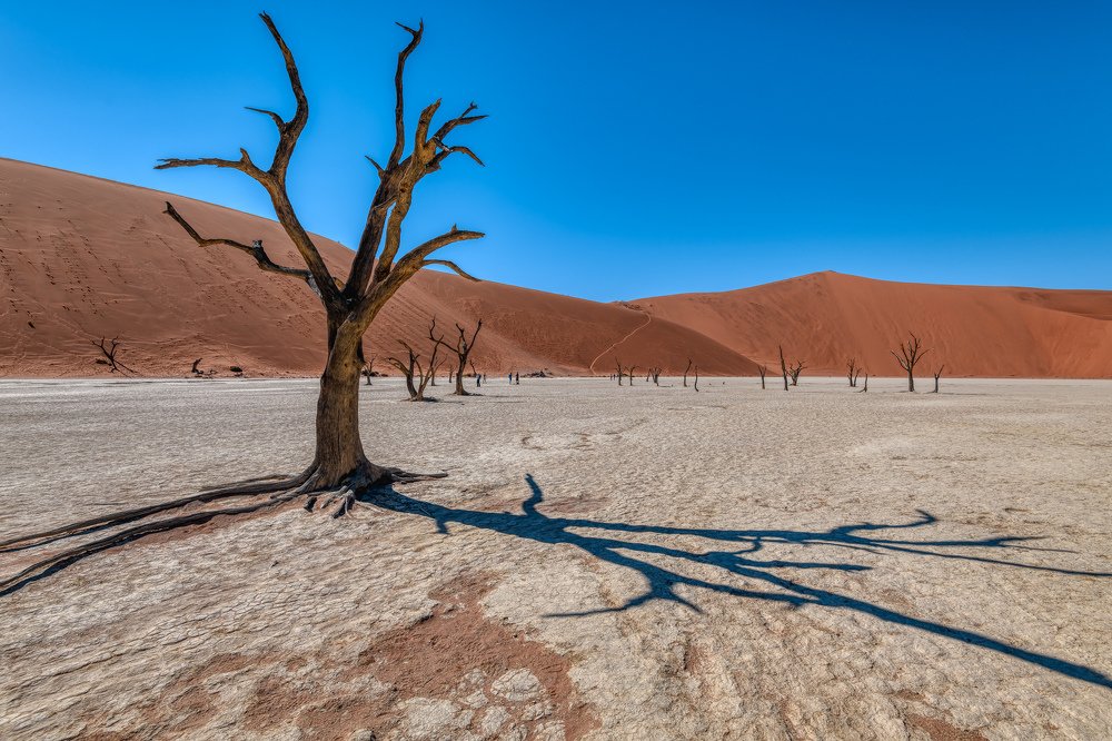 Photograph by Дмитрий Ильин