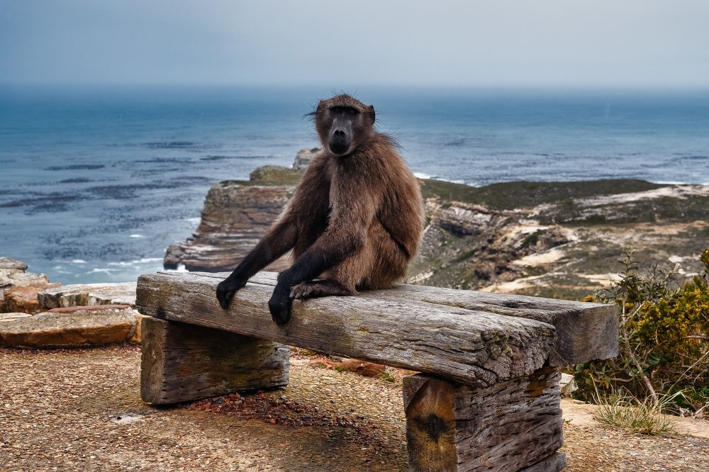 Photograph by Дмитрий Ильин