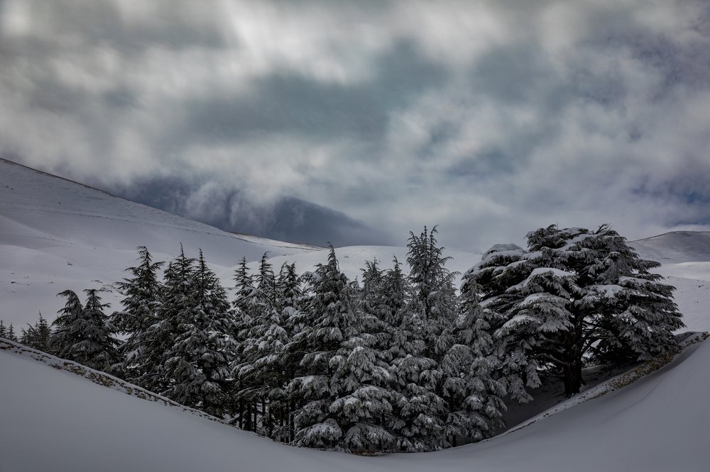 Photograph by Nicolas Tawk