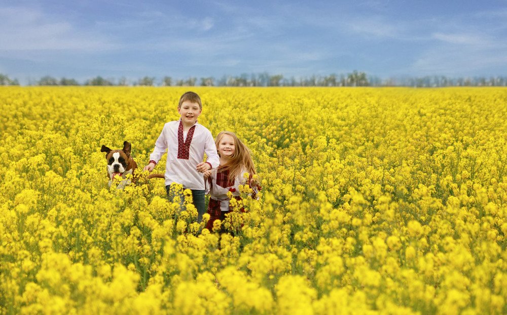 Photograph by Титаренко Ольга