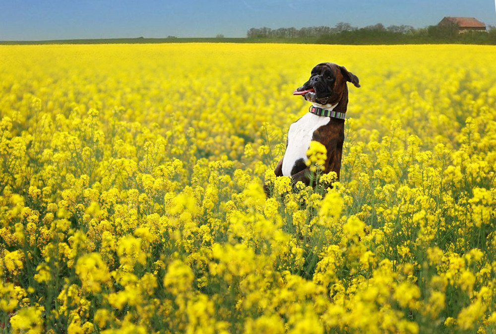 Photograph by Титаренко Ольга