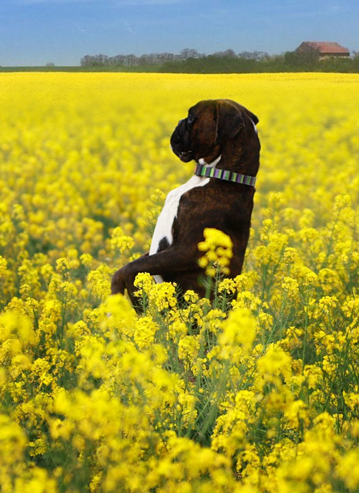 Photograph by Титаренко Ольга