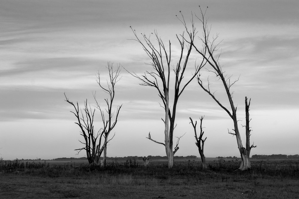 Photograph by Maria Mac lean