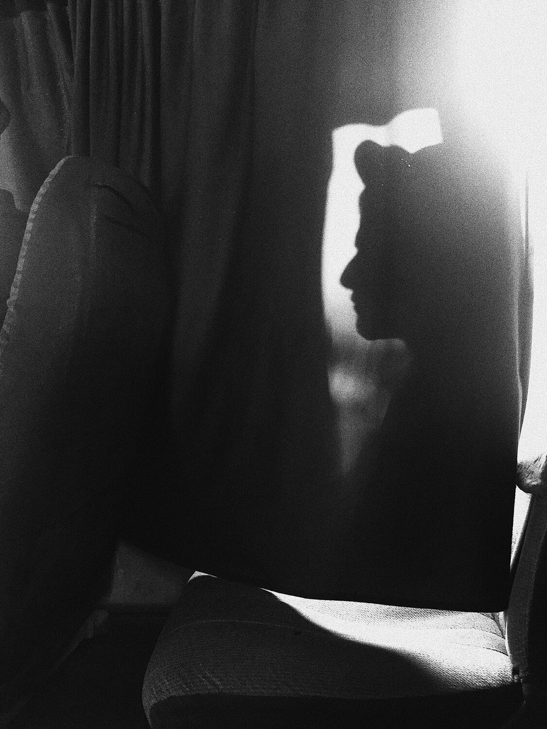 Photo #4586652