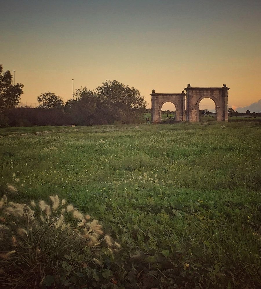 Photograph by Сергей Бонадысенко