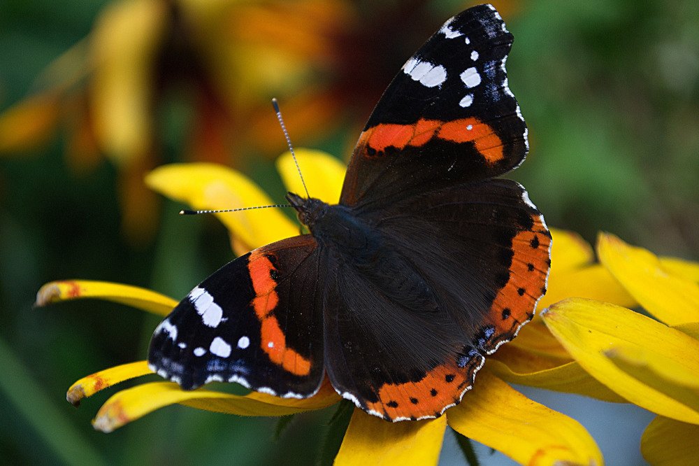 Photograph by Yroslava Veretina