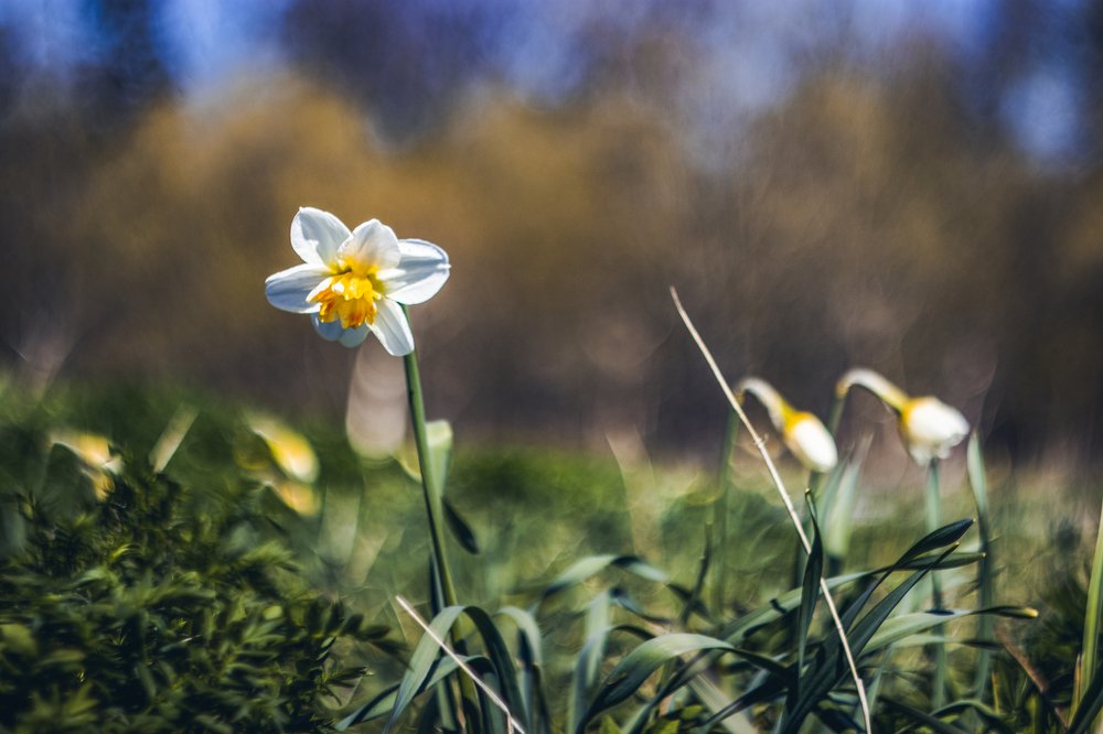 Photograph by Алексей Труханович