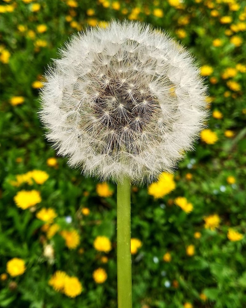 Photograph by Фируз Асоев