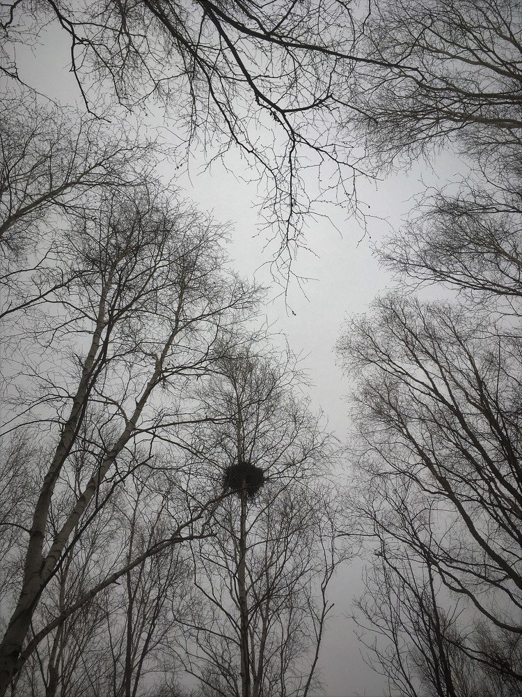 Photograph by Нелли Омельченко