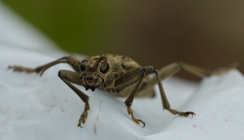 Photograph by Андрей Шартов