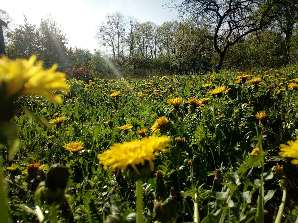Photo #4586882