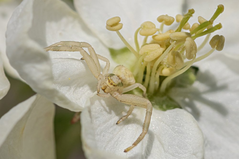 Photograph by Бурбона Сергей