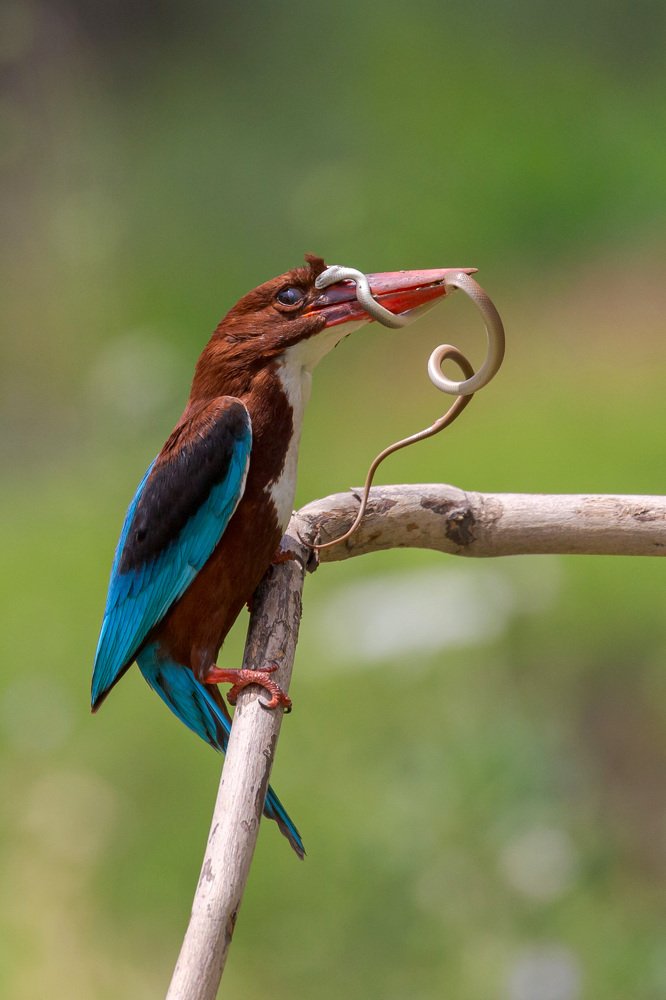 Photograph by Limor Bahar