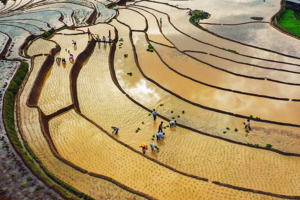 Photograph by HIEN LE