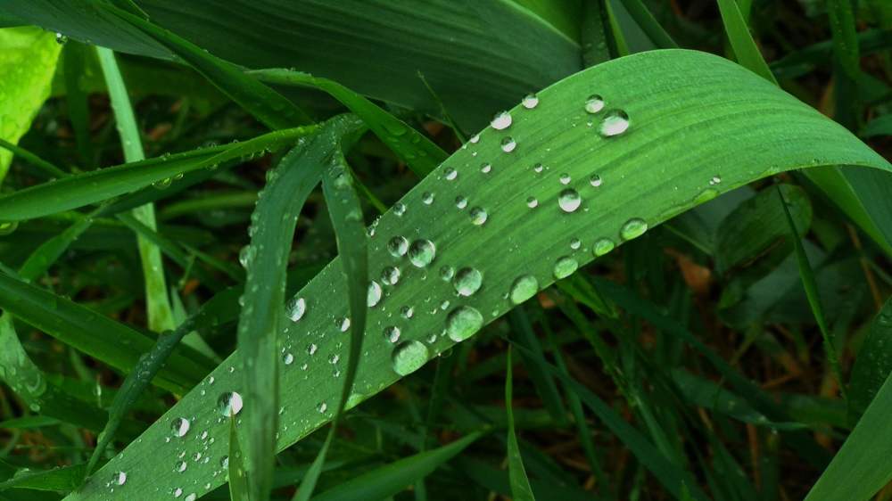 Photograph by Alexandra Yankovskaya