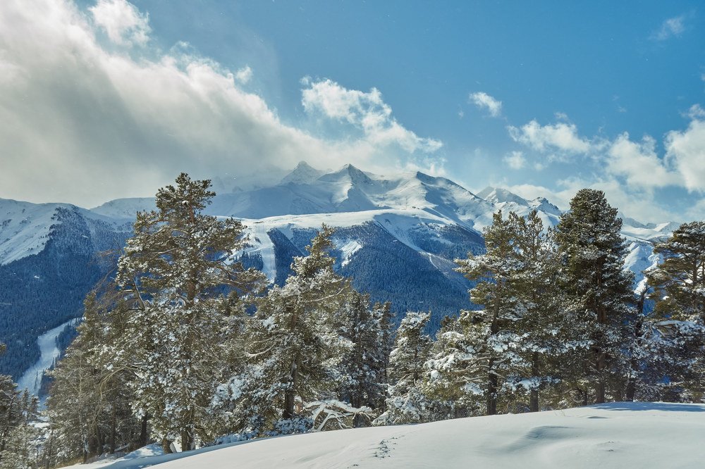 Photograph by Алексей Приешкин