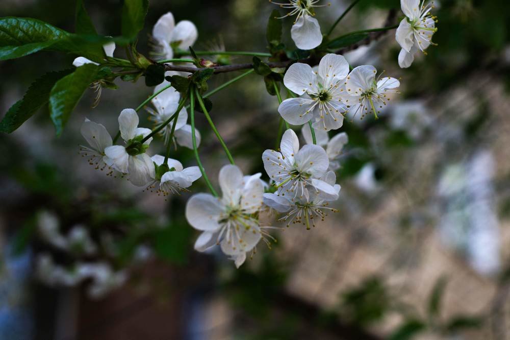 Photograph by Alexandra Yankovskaya