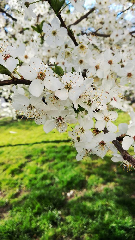 Photograph by Alexandra Yankovskaya