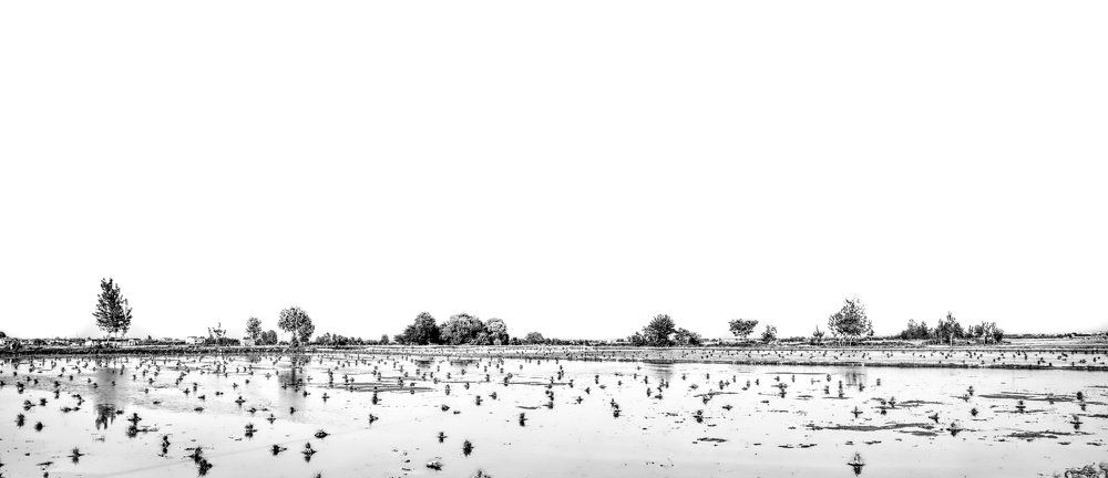 Фотография автора Pejman Sadeghzadeh