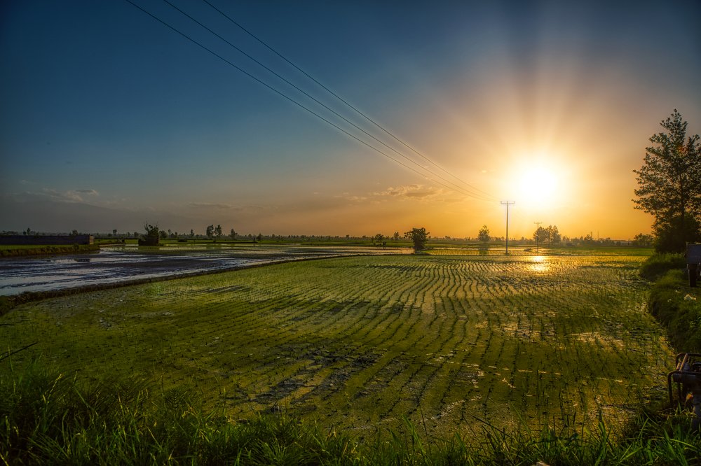 Фотография автора Pejman Sadeghzadeh