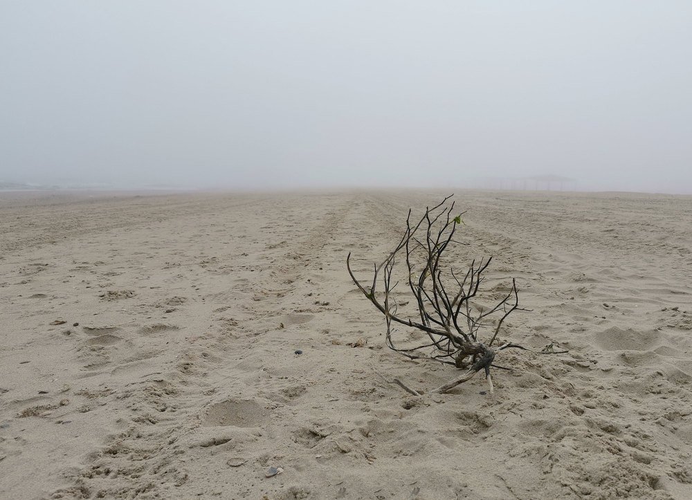 Photograph by Екатерина Ким