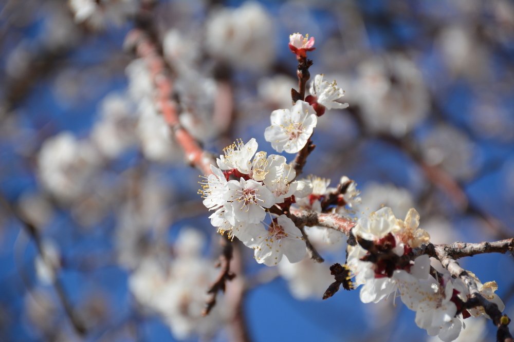 Photograph by aysun güneş