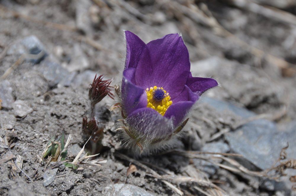 Photograph by Евгений Захаров