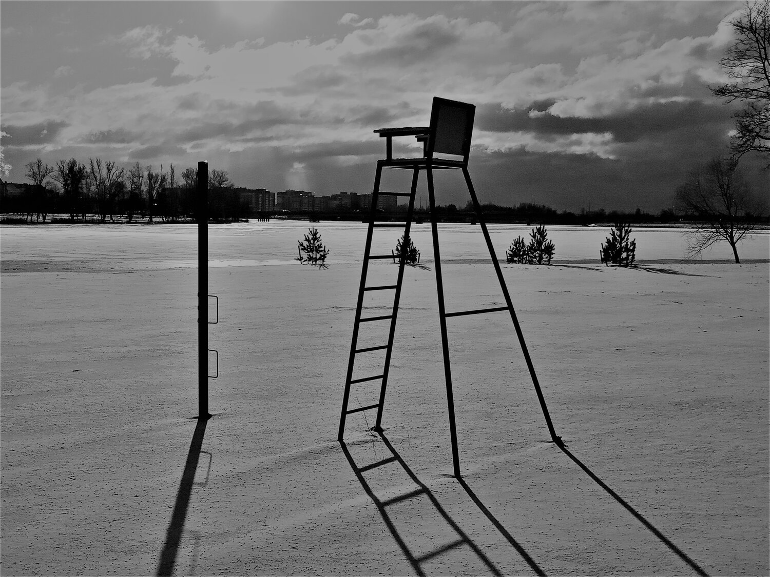 Photo #4587551