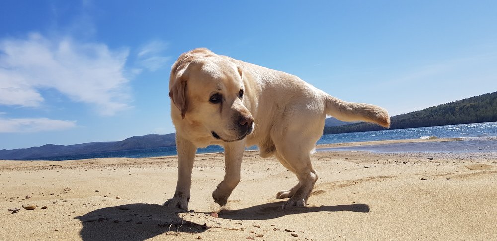 Photograph by Алексей Миронов