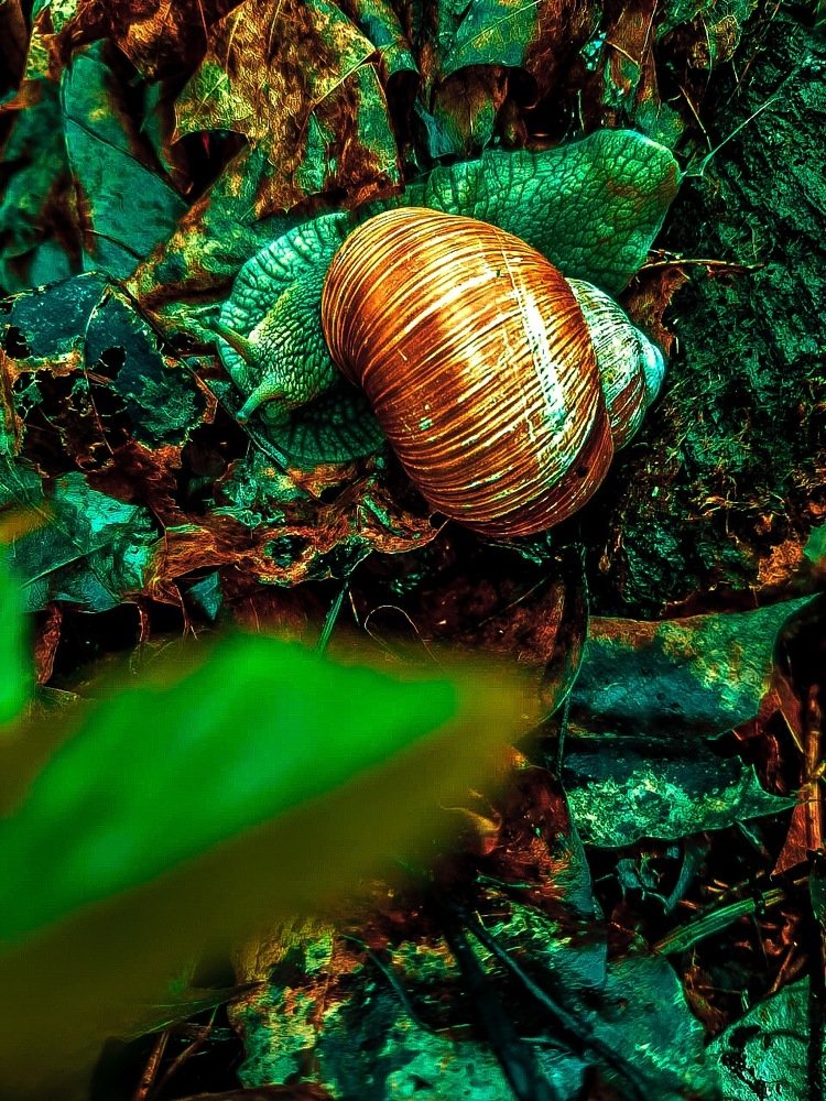 Photograph by Ирина Трошина