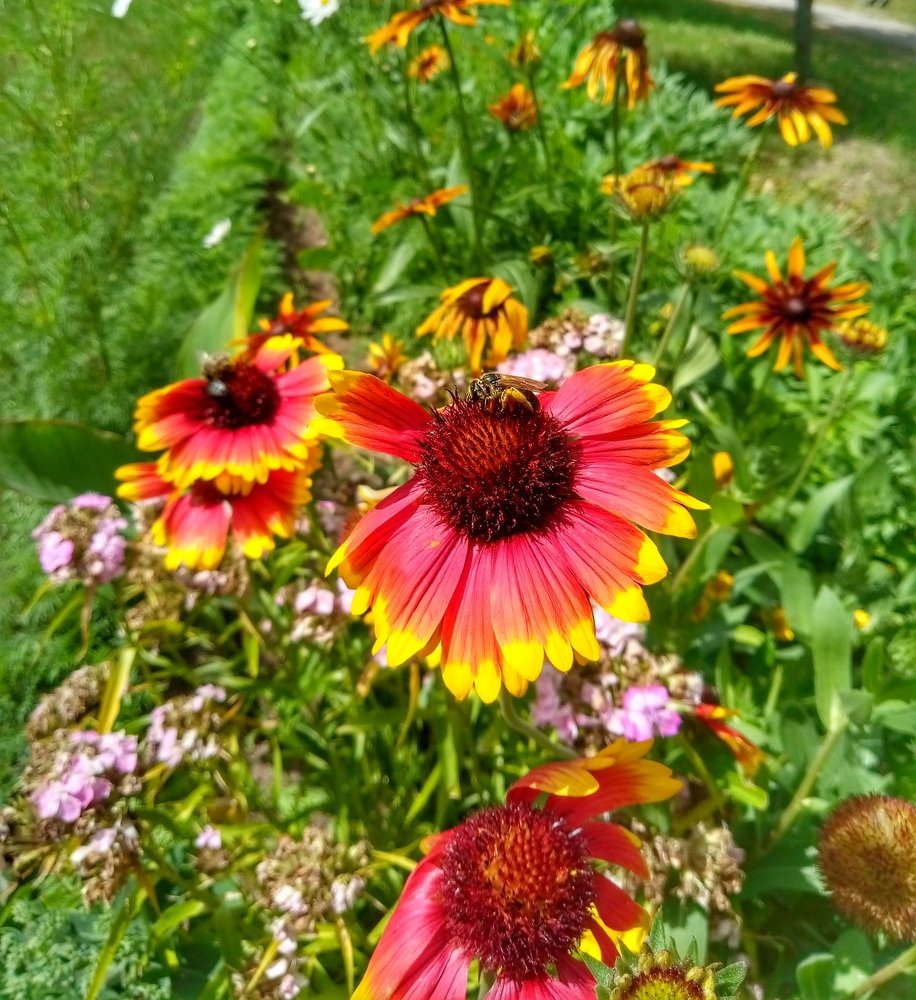 Photograph by Катерина Попелковская