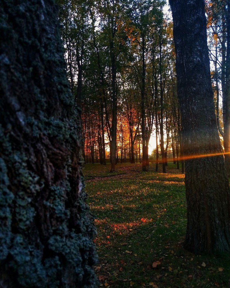 Photograph by Катерина Попелковская