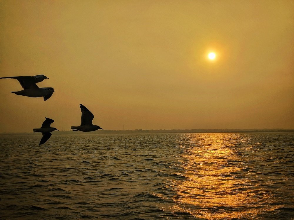 Photograph by Rizvi Emon