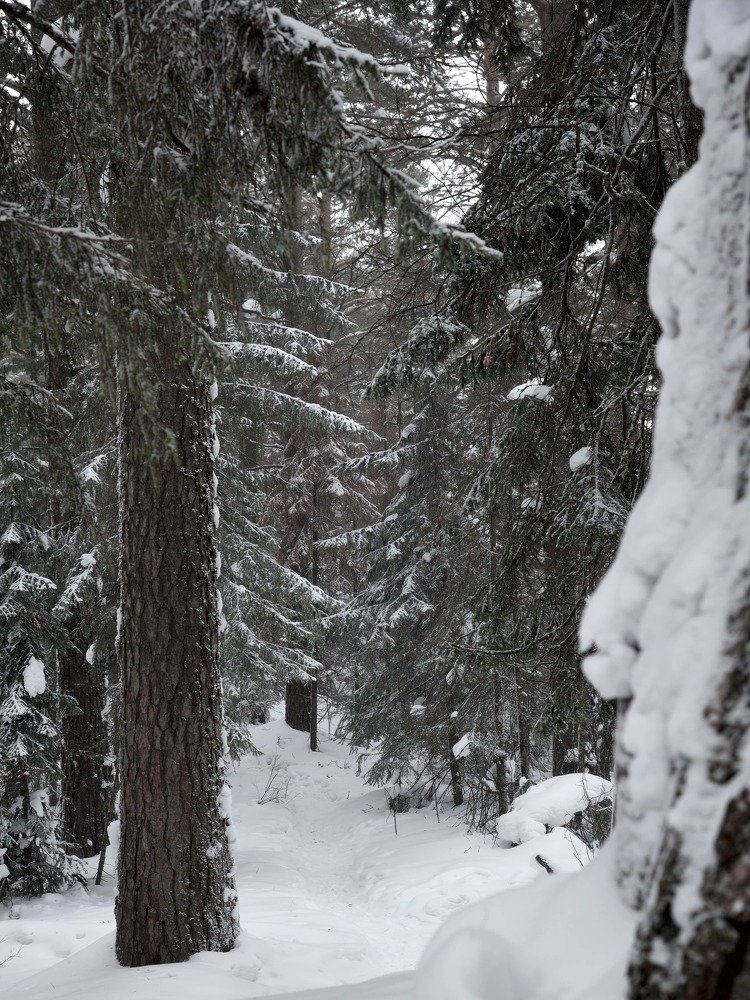 Photograph by Roman Komov