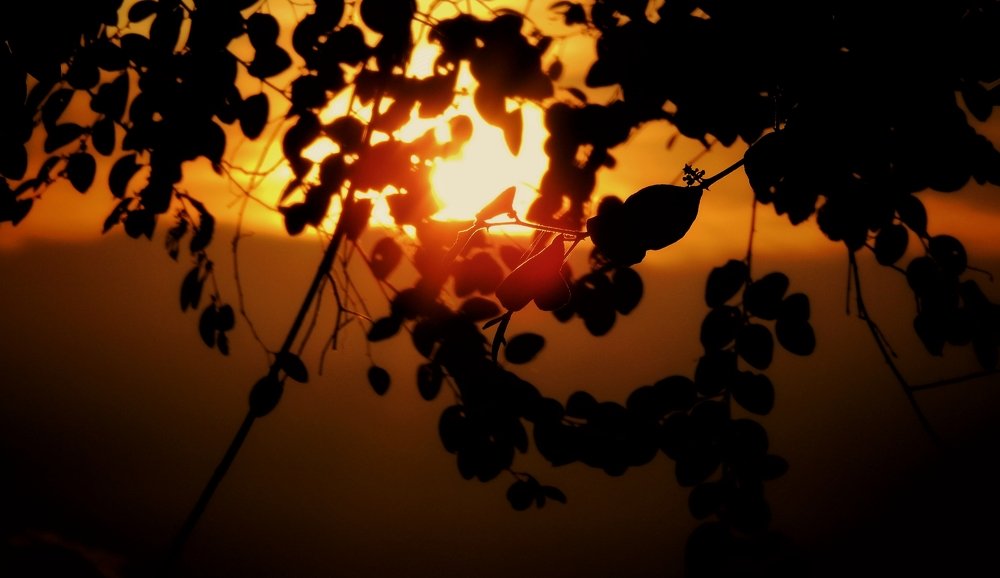 Photograph by Rizvi Emon