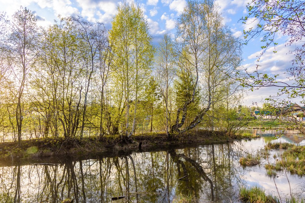 Photograph by Николай Писецкий