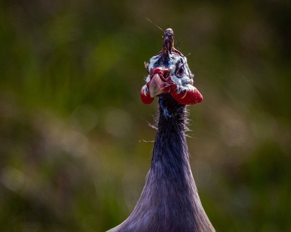 Photograph by JAMES BAILEY