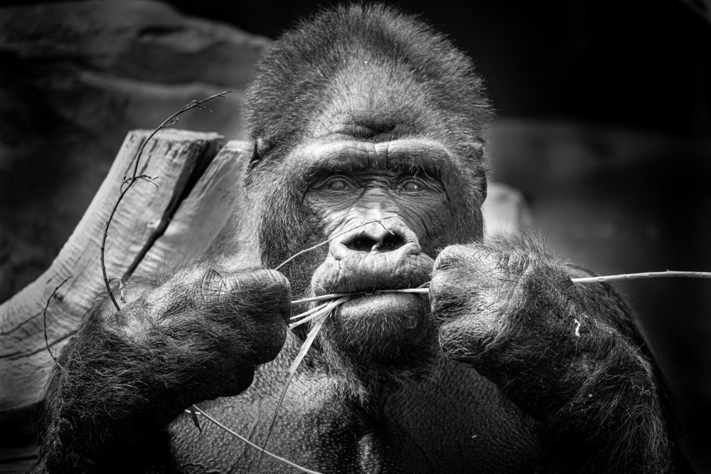 Photograph by Edina Muhari