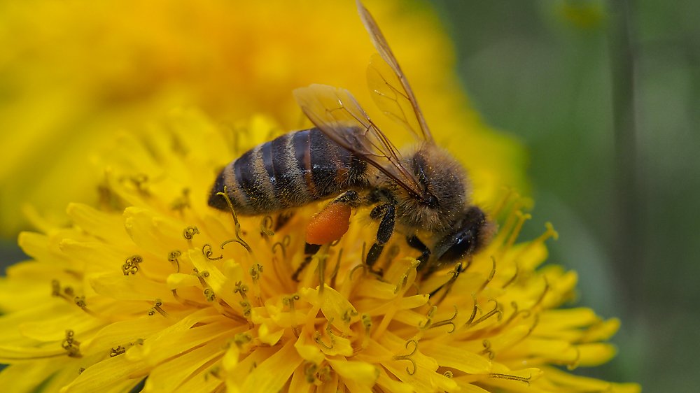 Photograph by Yana Marinova