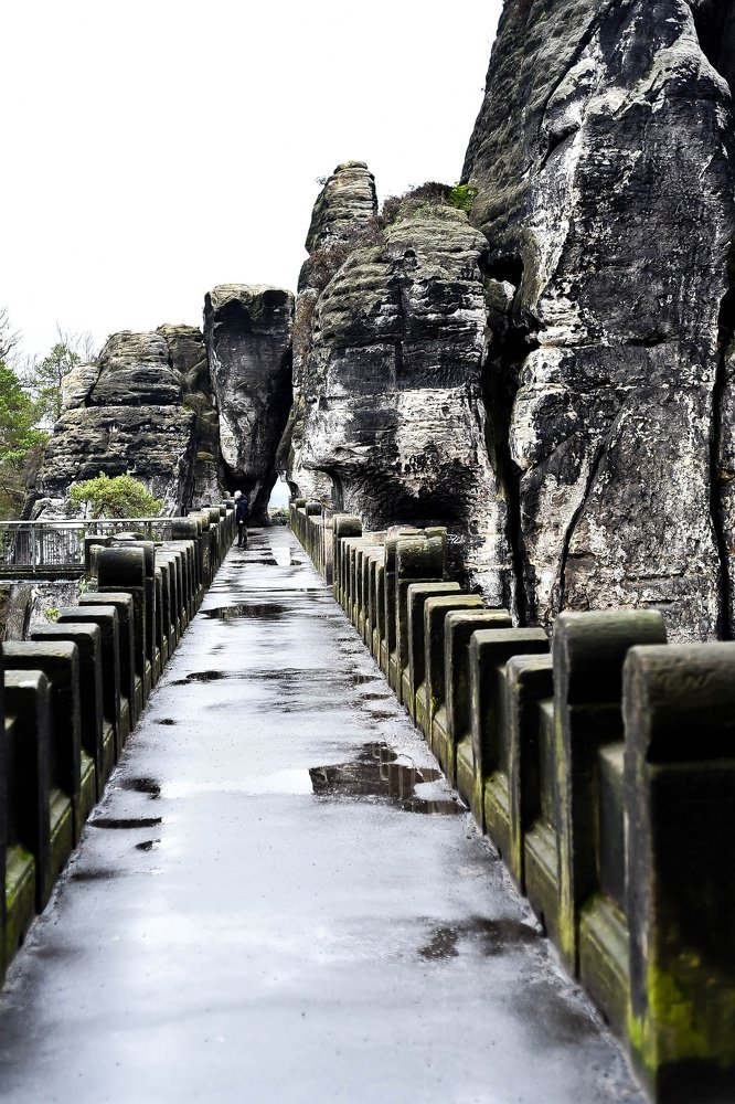 Фотография автора Борисова Мария